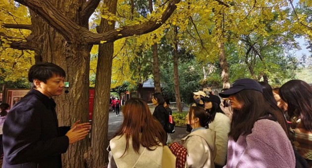 1762155852674323.jpg 5.jpg