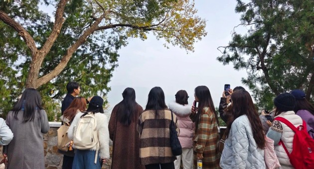 1762155912264972.jpg 9.jpg